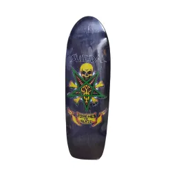 Dogtown Suicidal Skates Possessed To Skate 70’s Rider 9" Old School Skateboard Deck